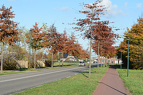 Het is herfst! Verzamel gevallen blad in de bladkorven